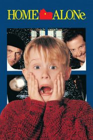Home Alone Urdu Dubbed